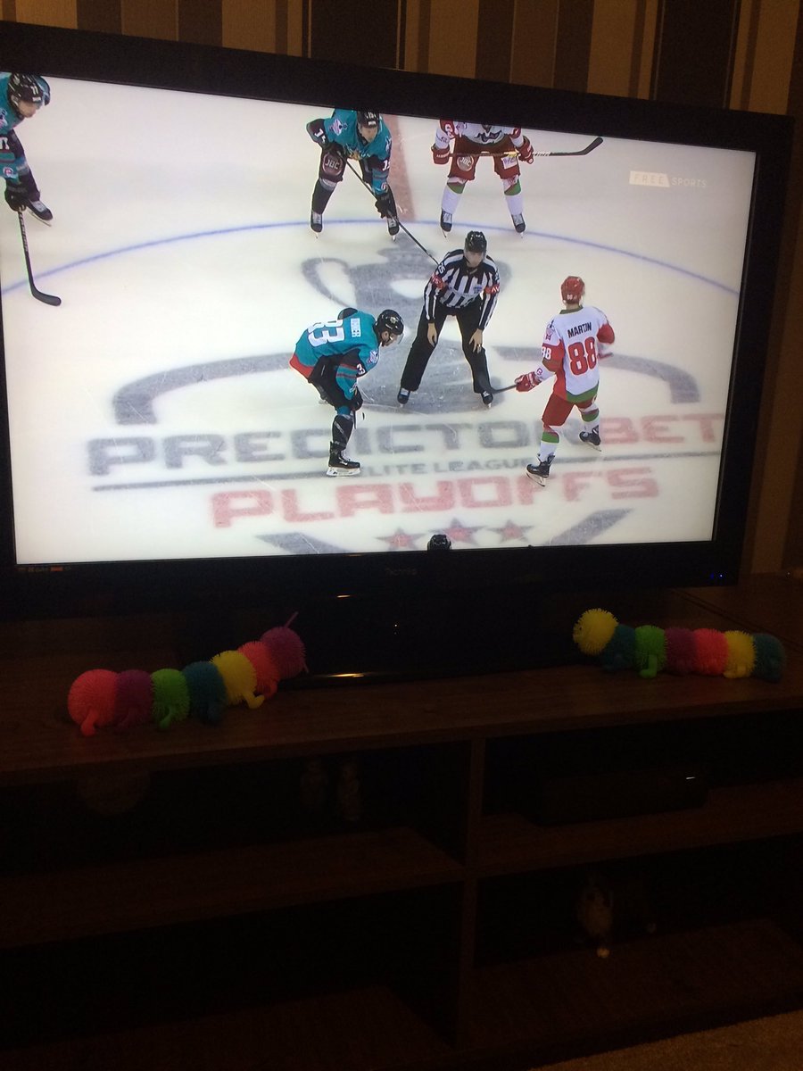 gillb67's tweet photo. Cleo and Stitch settling into their new home.Thanks @csportstitch for inspiring their adventure with @scottishboydy. They also thank @ClanIHC fans and @officialEIHL fans for showing them they belong #HockeyIsForEveryone #showthecolours #stitchedisbest #playoffadventure https://t.co/A60SImudGA