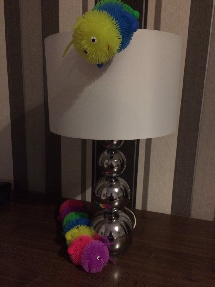gillb67's tweet photo. Cleo and Stitch settling into their new home.Thanks @csportstitch for inspiring their adventure with @scottishboydy. They also thank @ClanIHC fans and @officialEIHL fans for showing them they belong #HockeyIsForEveryone #showthecolours #stitchedisbest #playoffadventure https://t.co/A60SImudGA