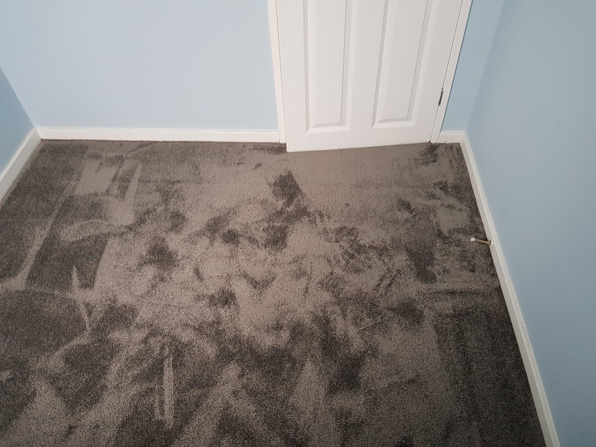 Peter Kearney Carpets & Flooring tweet media