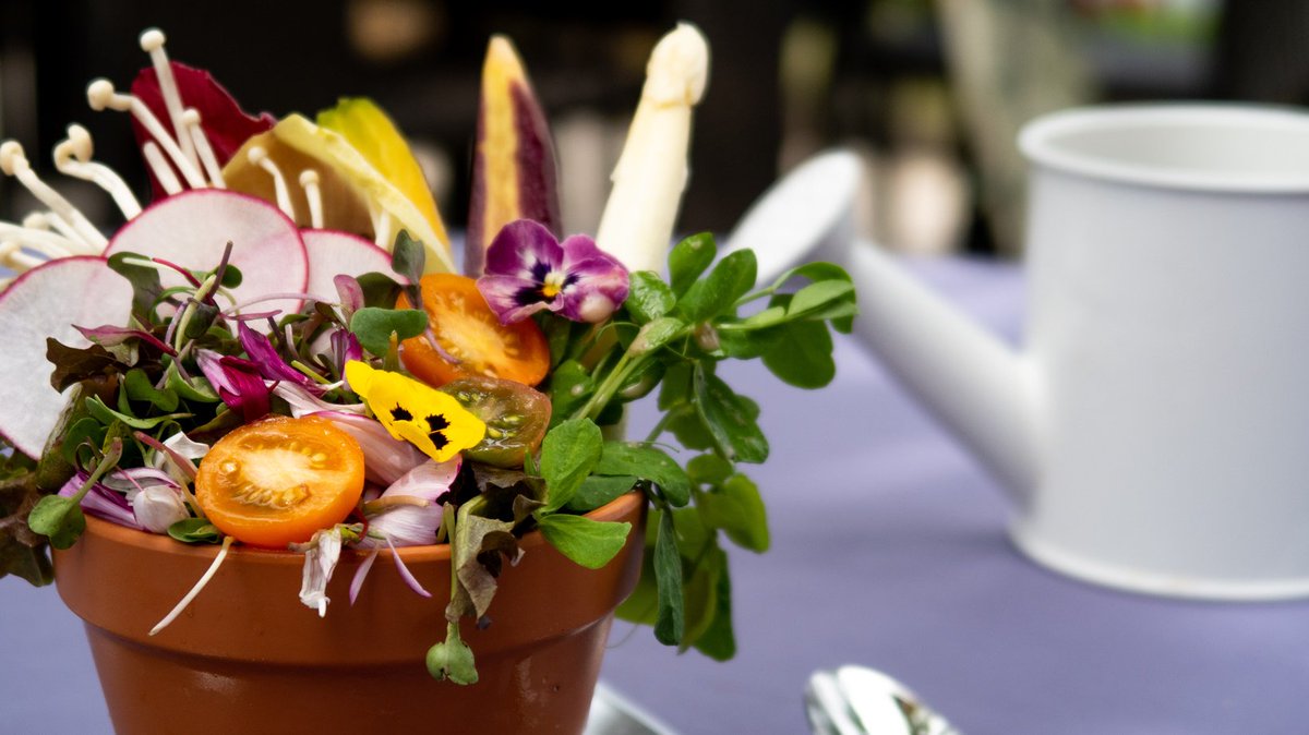 StonebridgeBoca's tweet photo. Spring into Summer events at Stonebridge means you get to eat your colorful, floral-esque, salad right out of the flower pot! Don't forget to 'water' your salad with a delicious cream dressing from our mini watering can. https://t.co/fw8z2C6eBK