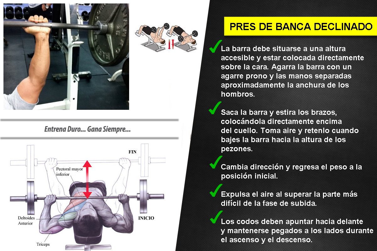NaturalFitSe's tweet photo. Haz correctamente el ejercicio de Press de Banca Declinado! 
@NaturalFitSe #naturalfit_es #naturalfitsevilla #feelbenaturalfit #naturalfit #fitnessaddict #fitnessfreak #fitspo #fitfam #fitjourney #fit #fitlife #fitgirls #fitmom #fitgirl #fitness #fitnesslife #FitnessMotivation https://t.co/Cpl0viHPTE