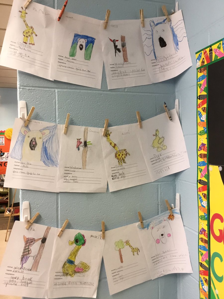 MrsGaffney_K's tweet image. Animals in their habitats! #directeddrawing