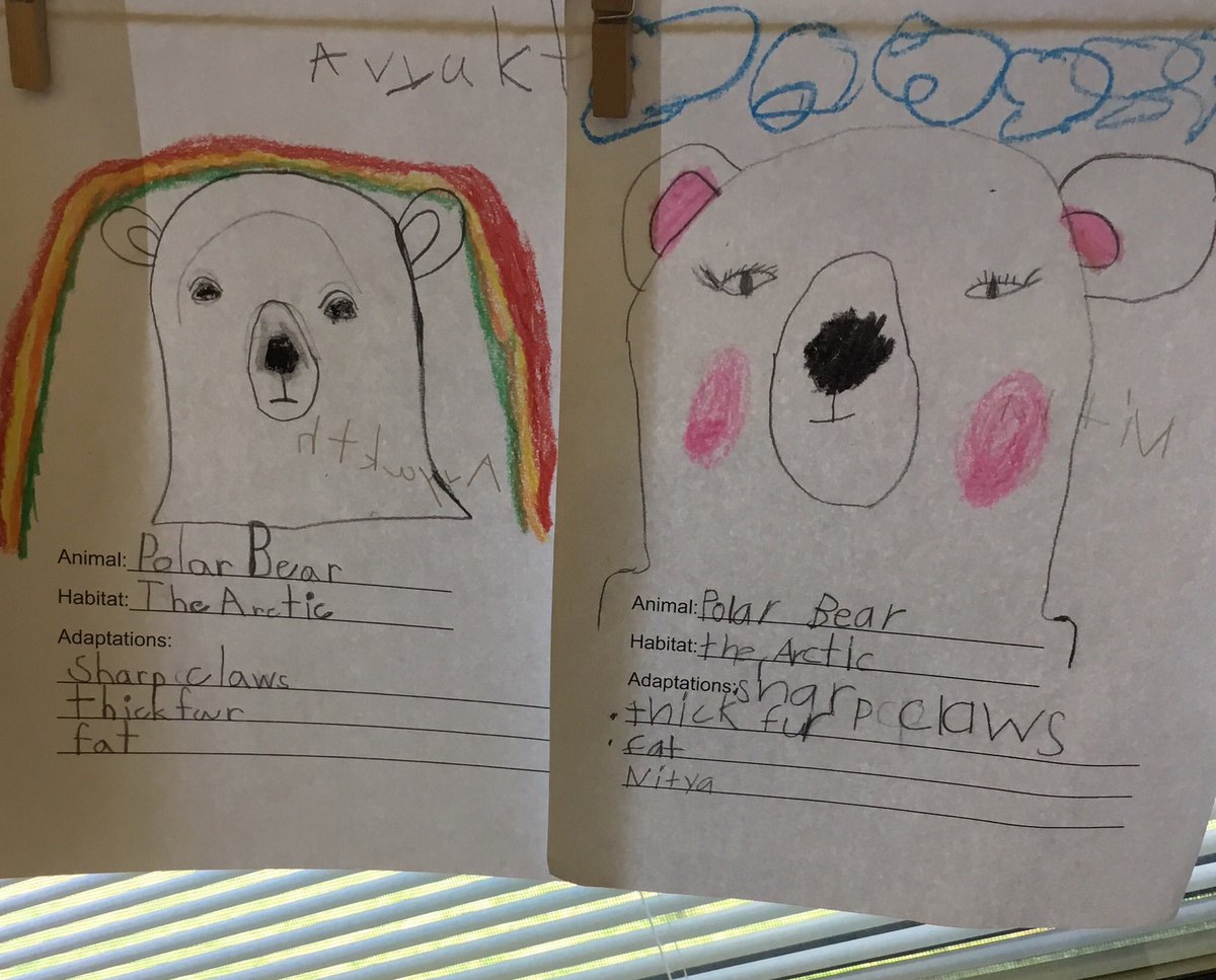 MrsGaffney_K's tweet image. Animals in their habitats! #directeddrawing