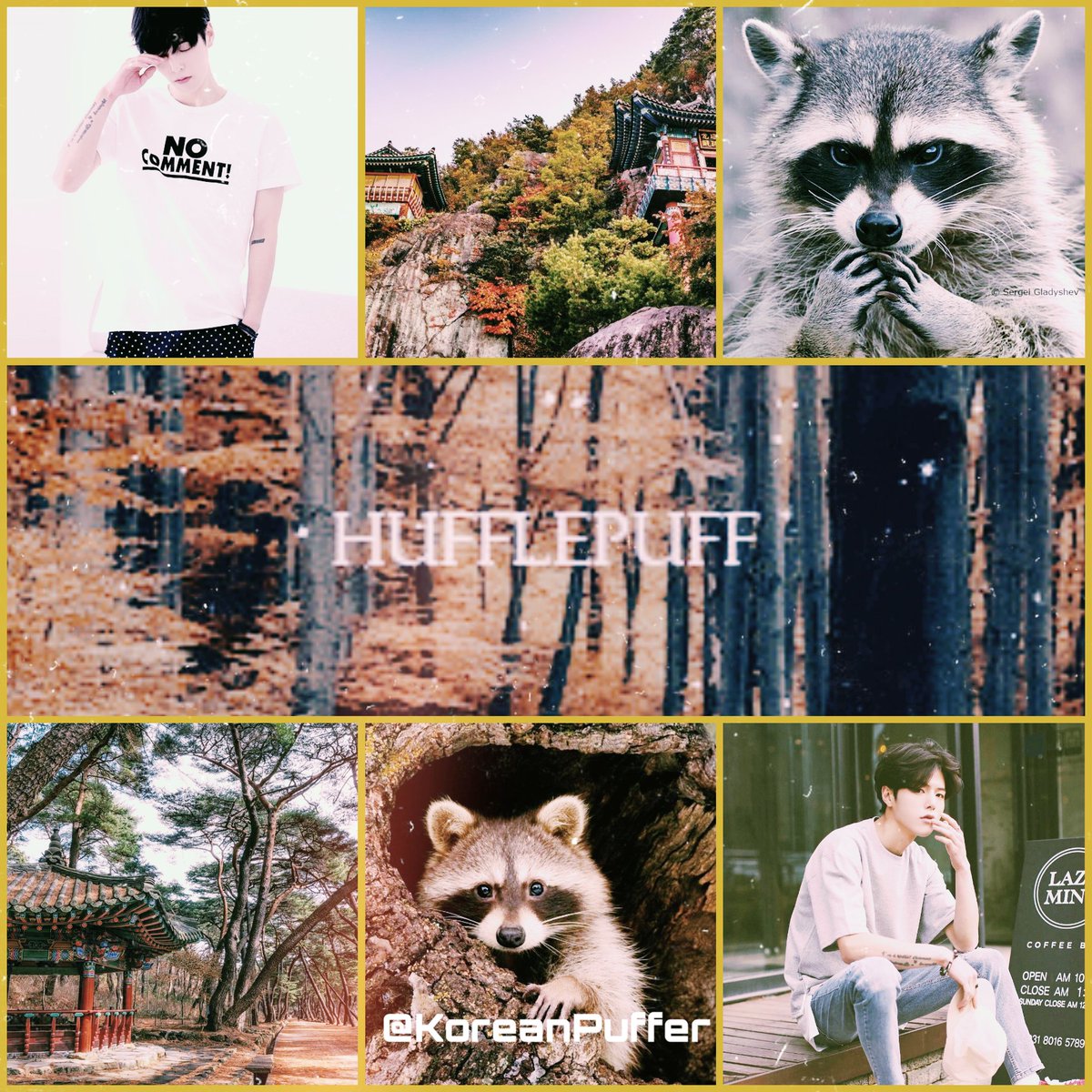 ~▪︎ Hugh Kwon 🦝

• Racoon for life
• Hufflepuff by pride
• Single as a pringle
• Funny and relaxed
• love salty stuff

#Retweet