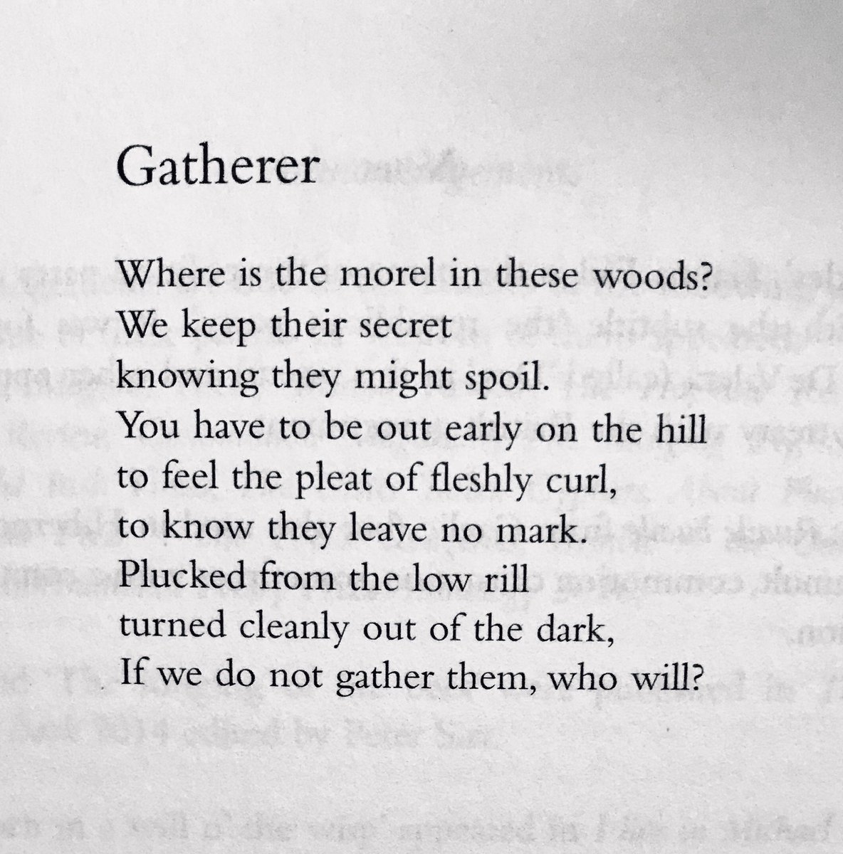UCDPoetry's tweet photo. More from our ⁦@FiredIrishPoets⁩ - “Gatherer” by ⁦@PoetrySiobhan⁩ from “Heat Signature”, her beautiful and incisive collection from @SerenBooks⁩ #UCDJukebox ⁦@UCDLibrary⁩ ⁦@poetryjukebox⁩ #Irishwomenpoets https://t.co/v8byPiblX3