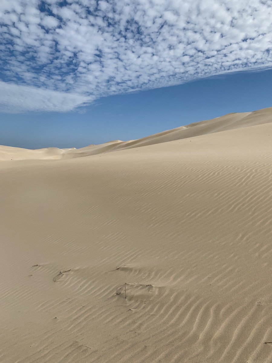 MissGwangwa's tweet image. * @flySAExpress is 25 years old 
* You were in Port Elizabeth, Eastern Cape. 
* Hashtags used: #WeDoTourism #weflyforyou #flysaexpress #25yearsofconnections #saafricanstraveltoo 😍😍🙏🏾