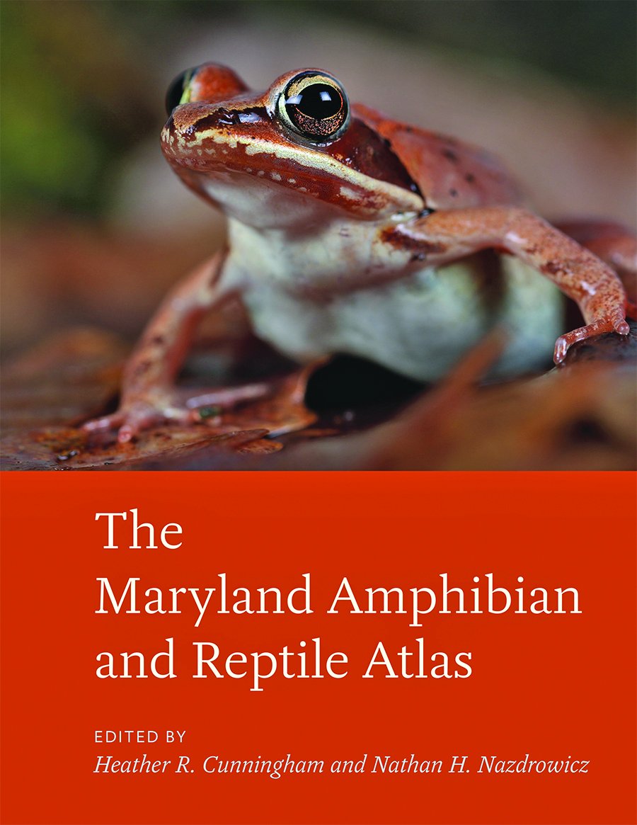 JHUPress's tweet photo. Celebrate the publication of "The Maryland Amphibian and Reptile Atlas" with a reception and book signing on Saturday, April 27th, at @NHSM_Naturalist in Baltimore! 
Please RSVP now: https://t.co/2HlKGowndZ

You can order the book here: https://t.co/ouQK0UzJsE https://t.co/jQlqUrvj6R