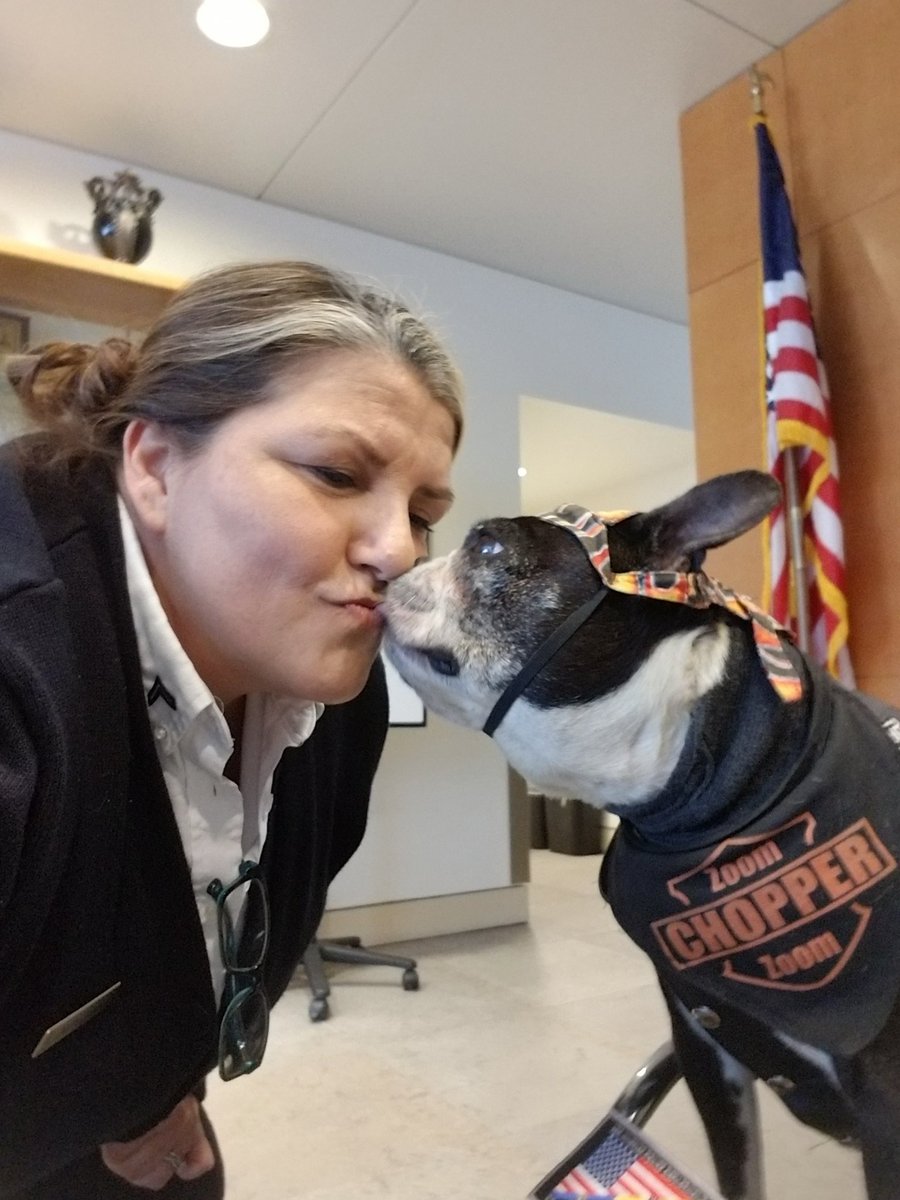 tlindquist911's tweet photo. Loving this dog!!!! #chopperthebikerdog! #911LAPD, #LAPD, #DISPATCHERSWEEK, https://t.co/jdoA1BFgqn