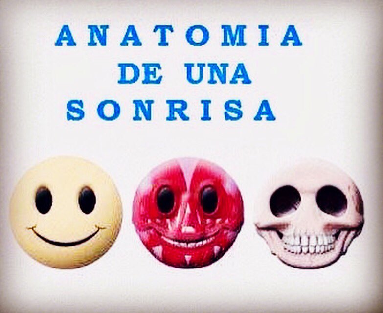 vcalderonosteo's tweet photo. Anatomía de una sonrisa.
#osteopath #osteopathy #PonUnOsteópataEnTuVida #osteopata #osteopatia #osteópata #osteopatía #magoun #upledger #sutherland #violafrymann #torstenliem #andrewtaylorstill https://t.co/IOewt5K2fF