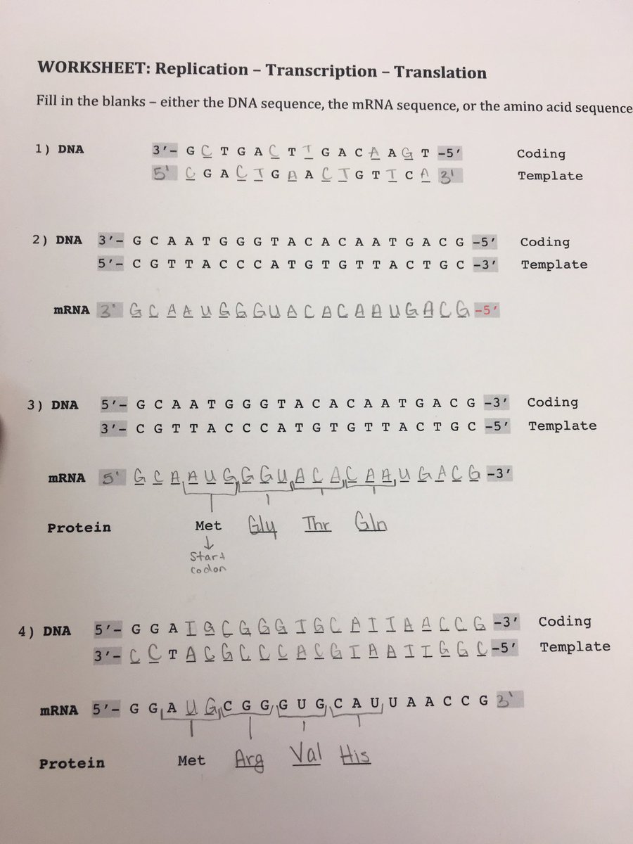benson_allayna's tweet photo. This lab has been by far my favorite. @UNKBiol106AC #106Week14ACS19 https://t.co/RVpbyLZPBA