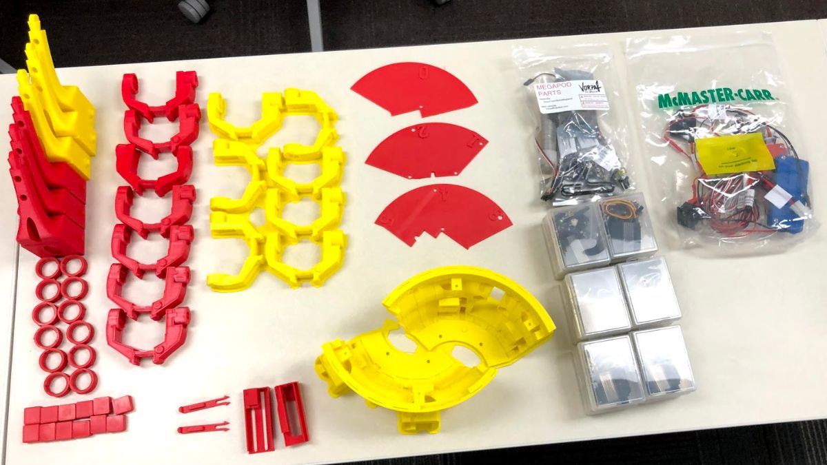 🍕 Pizza Bot Build 🍕 - mailchi.mp/780e6398053e/p…