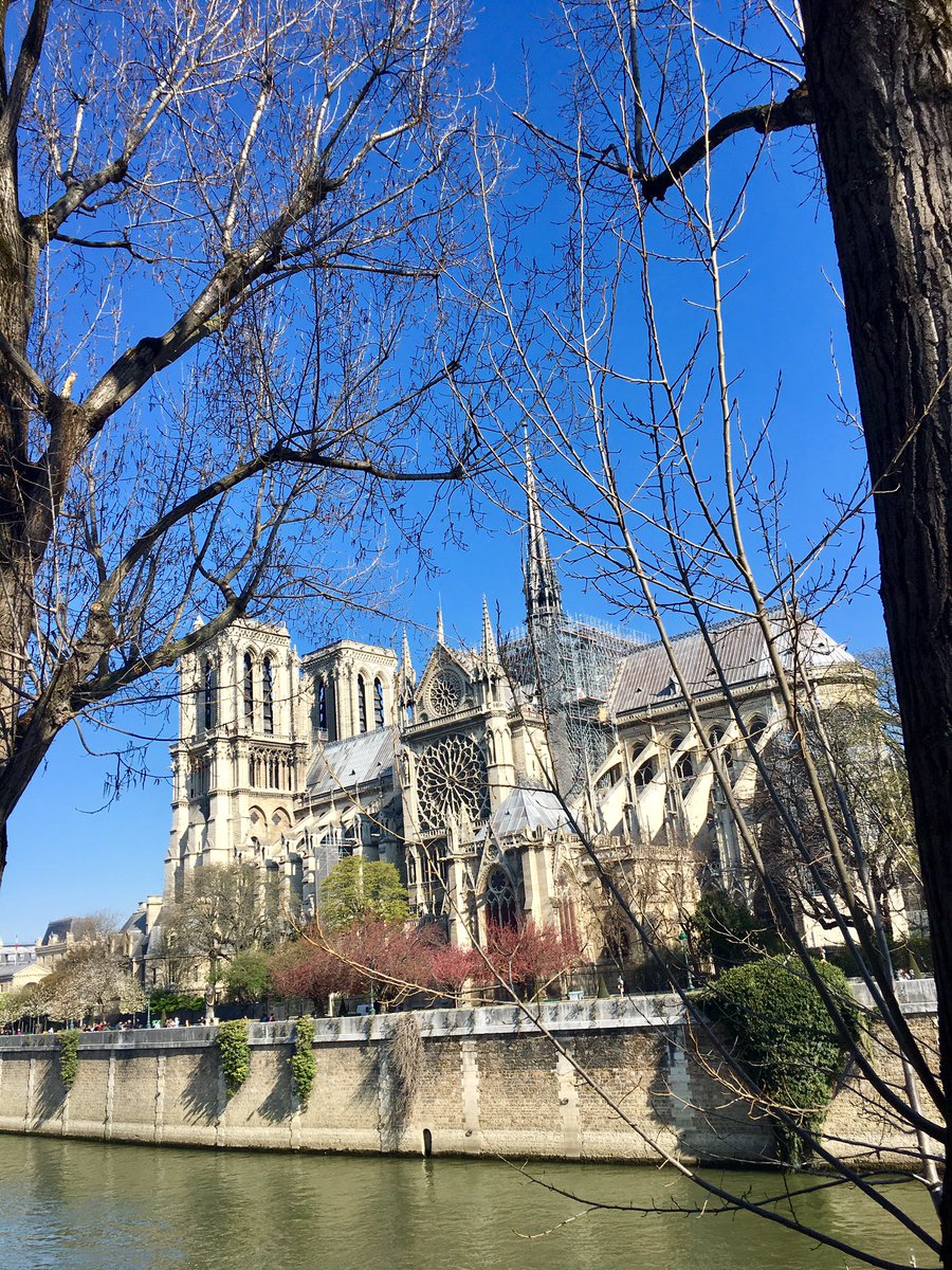 AurNavez's tweet photo. Se souvenir de #Notre_dame_de_Paris il y a quelques jours ... avant #NotreDameCathedralFire #Seine   📷 @AurNavez https://t.co/lSvI6NLBKa