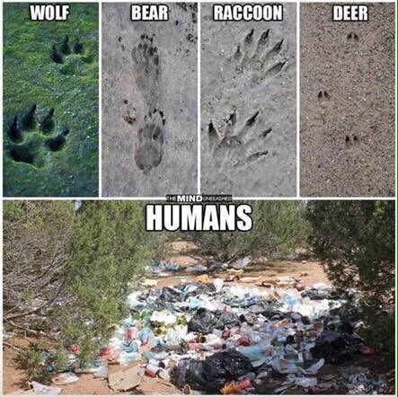 ThisHauntedman's tweet photo. #humansareshit https://t.co/8DNBI3pM0p