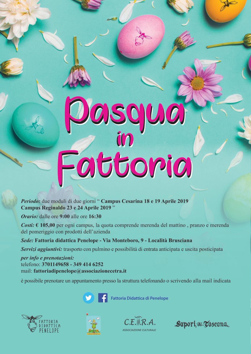 FattoriaDidatt1's tweet photo. #pasquainfattoria #fattoriadidattica #cetracultura #campusfestivita 
@CetraCultura @marziocresci @valdelsanet @italiadidattica https://t.co/MKhTPKYUXr