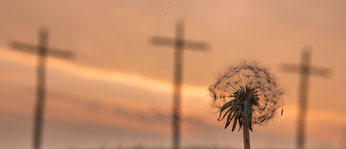 Siennaeva11's tweet photo. Beautiful light this evening ...
Three Crosses, Downs Rd ....#easter #Easter #isleofwight #PureIslandHappiness #sunset #cross #nature #omgb https://t.co/Z9i42o2kH4