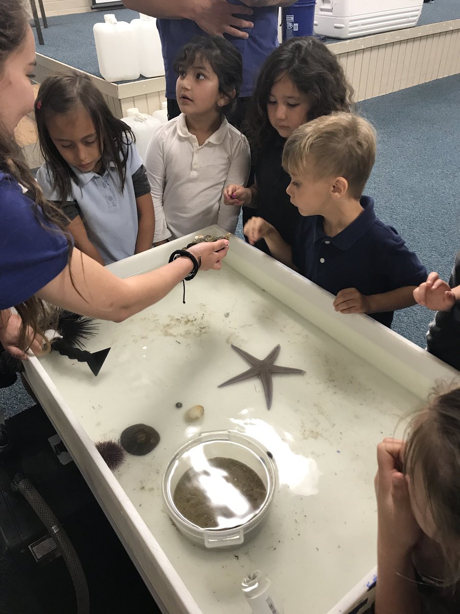 LyonsloveT's tweet photo. Concordia University came to @bensonbears1 today with touch tanks. Our students loved this hands on learning experience! @jchristytusd #TUSDthrives #TK https://t.co/8nlywelRsA
