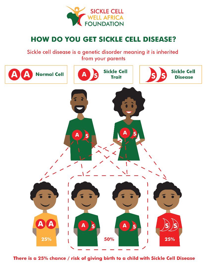 Sicklecellwell's tweet image. About 1 in 4 Nigerians carry the sickle cell trait (HbAS). A person with sickle cell disease has inherited  2 sickle cell genes from their parents. Do you know your genotype? #Sicklecelldisease #genotypetesting #sicklecelleducation #sicklecell #education