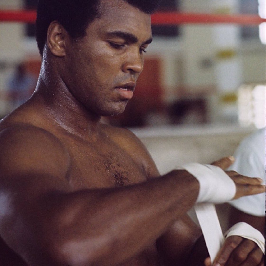 ValaAfshar's tweet photo. The man who views the world at 50 the same as he did at 20 has wasted 30 years of his life.

—@MuhammadAli https://t.co/QkYGjqnLnJ