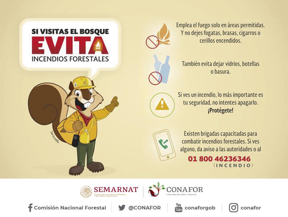 CONAFOR's tweet photo. Ya es fin de semana. No olvides seguir los consejos de @SaviLaArdilla 🌲🐿️🌳, para evitar #IncendiosForestales en nuestros bosques, selvas, manglares, zonas áridas y semiáridas  😇😉 https://t.co/jcfmSHt27T