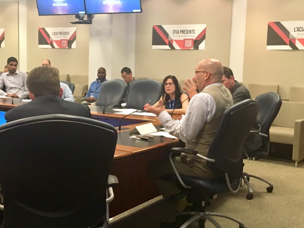 Radcarpet2019 Hashtag On Twitter