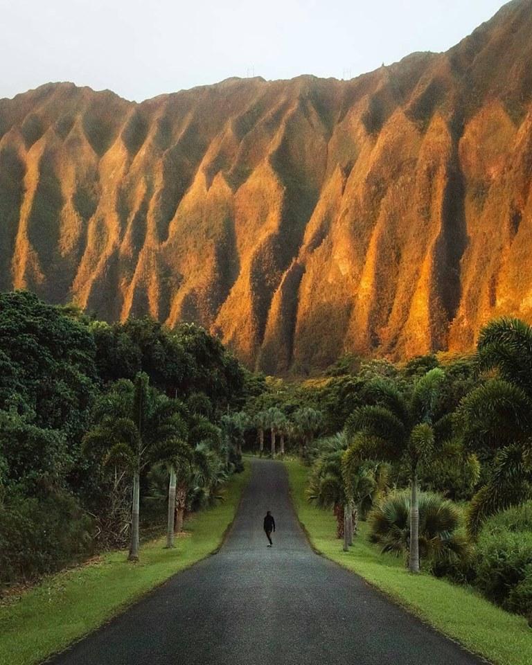 Let's explore the beauty of Hawaii 🇺🇸
<a href="/travel_submit/">Travel Submit</a>
#travel #holiday #vacation #traveling #travelling #TTOT #wanderlust #RTW #RTWsoon #RTWnow #SMTravel #TWWT #TRLT #backpacking #luxurytravel #studyabroad #cruise 
#adventure #beautiful #food #foodporn #hotel #nature #landscape