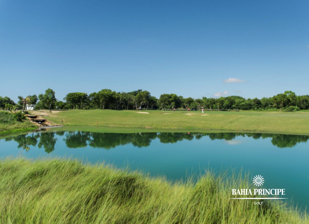 Ocean's 4 Golf tweet media