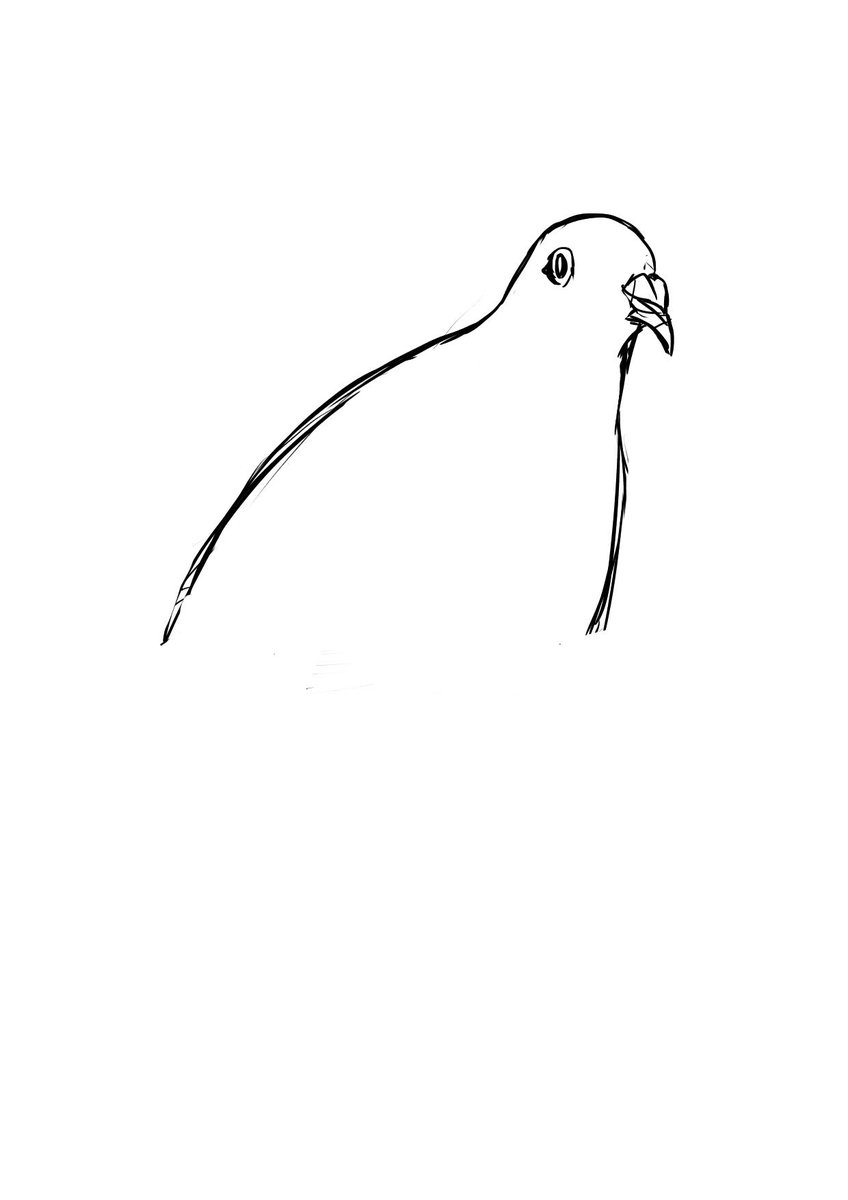 「ハト描いてたら途中で面倒くさくなったけど最後までやり切った。
#途中で面倒くさく」|ワイルドモルモットのイラスト