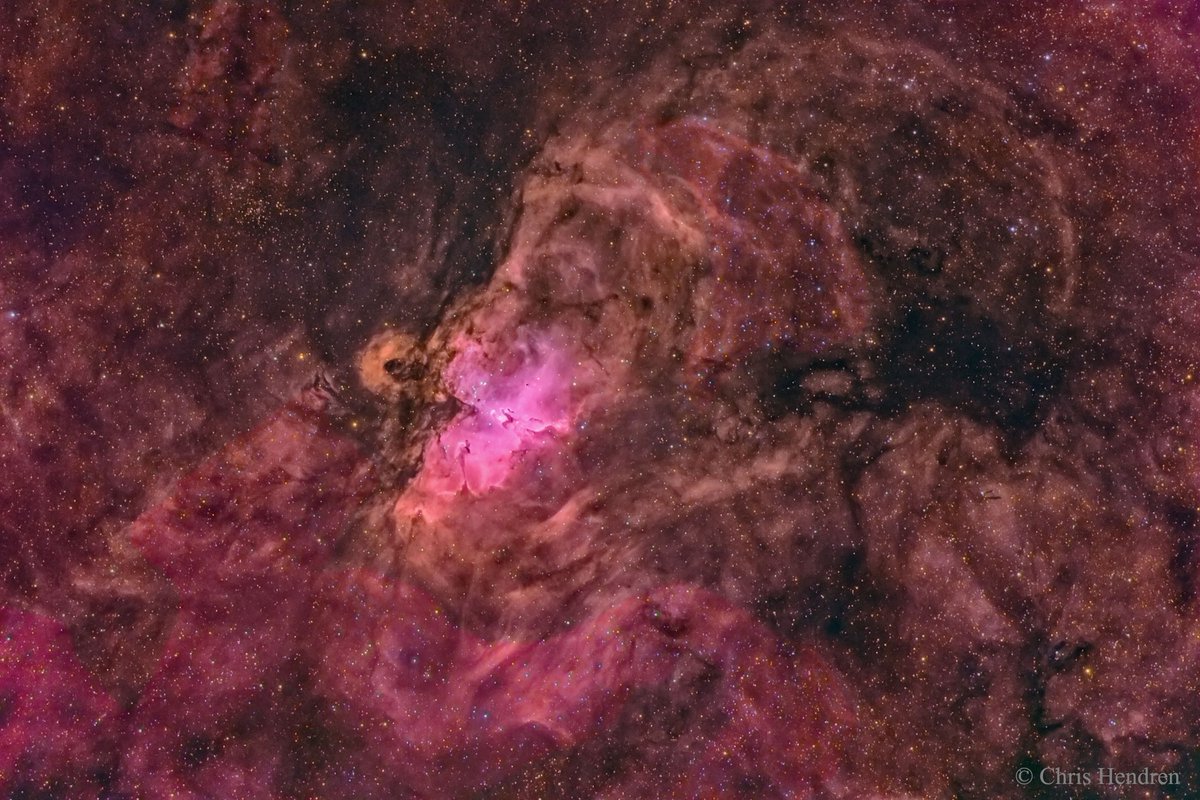 SpaceFeatures tweet picture