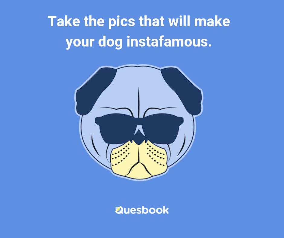 Quesbook's tweet photo. Thing #128 you can do with all the time Quesbook saves you studying for the ACT/SAT. https://t.co/1bITLSf9xu