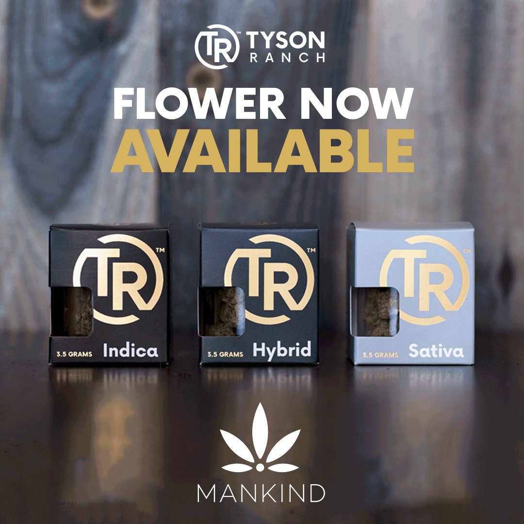 MankindCannabis's tweet photo. Did you know Iron Mike makes some super KIND #cannabis? Yeah, maybe it's time we start calling him Kinder Mike. #mankinddispenssary #tysonranch #cannabiscommunity #kindstyle #420iscoming #cannabislife #cannabisdaily #cannabis #weed #marijuana #cbd #thc #weedporn #cannabisculture https://t.co/kozfNsOA8Z
