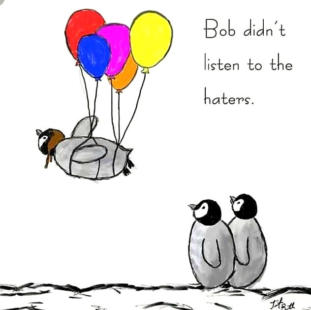 lizzycrickets45's tweet photo. Go Bob! #BeABob https://t.co/sfyjRHALnj