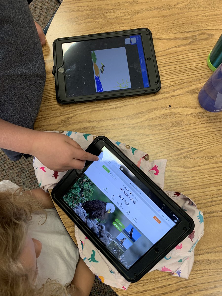 theLibraryBug's tweet photo. Working together to capture #birdcall audio in #Keynote 🐦 🎤 ✨ @CornellBirds #TremontCanCreate #EveryoneCanCreate https://t.co/UGwxVZfH3y