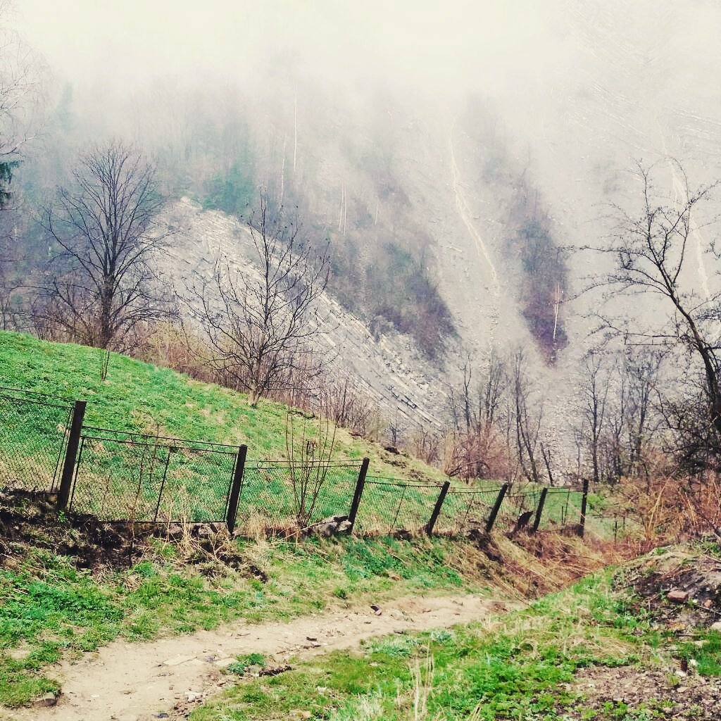 Olena08079434's tweet photo. #fog https://t.co/2fDvhPywmT