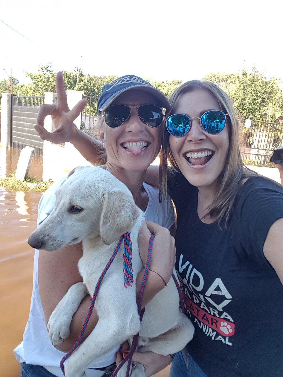 edithortizg's tweet photo. Hoy acompañados de @slgarelli_cnn y Oliver salimos en canoa a Rescatar Perros z/ lambare cerro guy #PakoInundacionPy #rescuedog #Paraguay https://t.co/9MMSDM5GKP