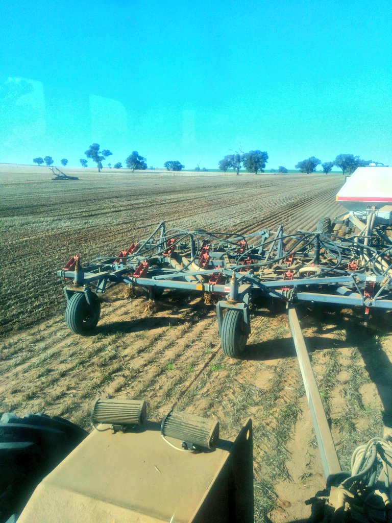 Just joining in on #plant19 with Canola going in