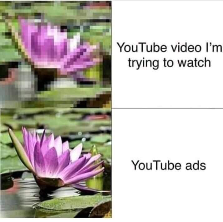 Is it just me or did anyone get to experience this one as well? 🤦🏻‍♂️ #youtube #Youtuber