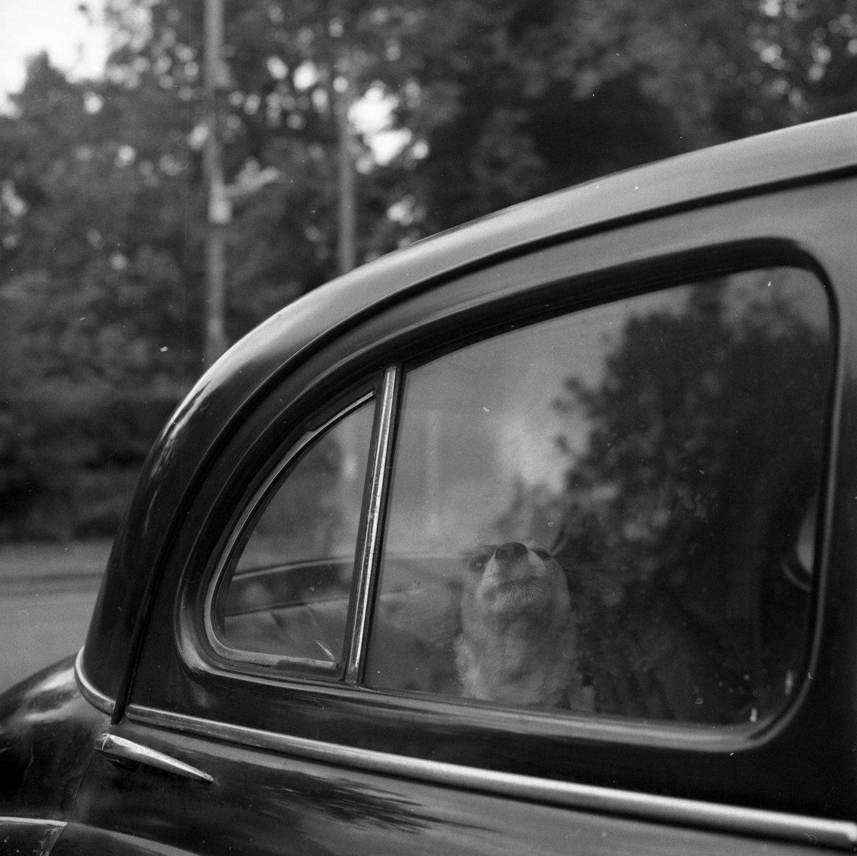 EMULSIVEfilm's tweet photo. #DeltaDefJam September 2017 Winner Announcement

Read on at: https://t.co/JGzbvzWSaG
#shootfilmbenice, #filmphotography, #believeinfilm https://t.co/iB6I88g7TL