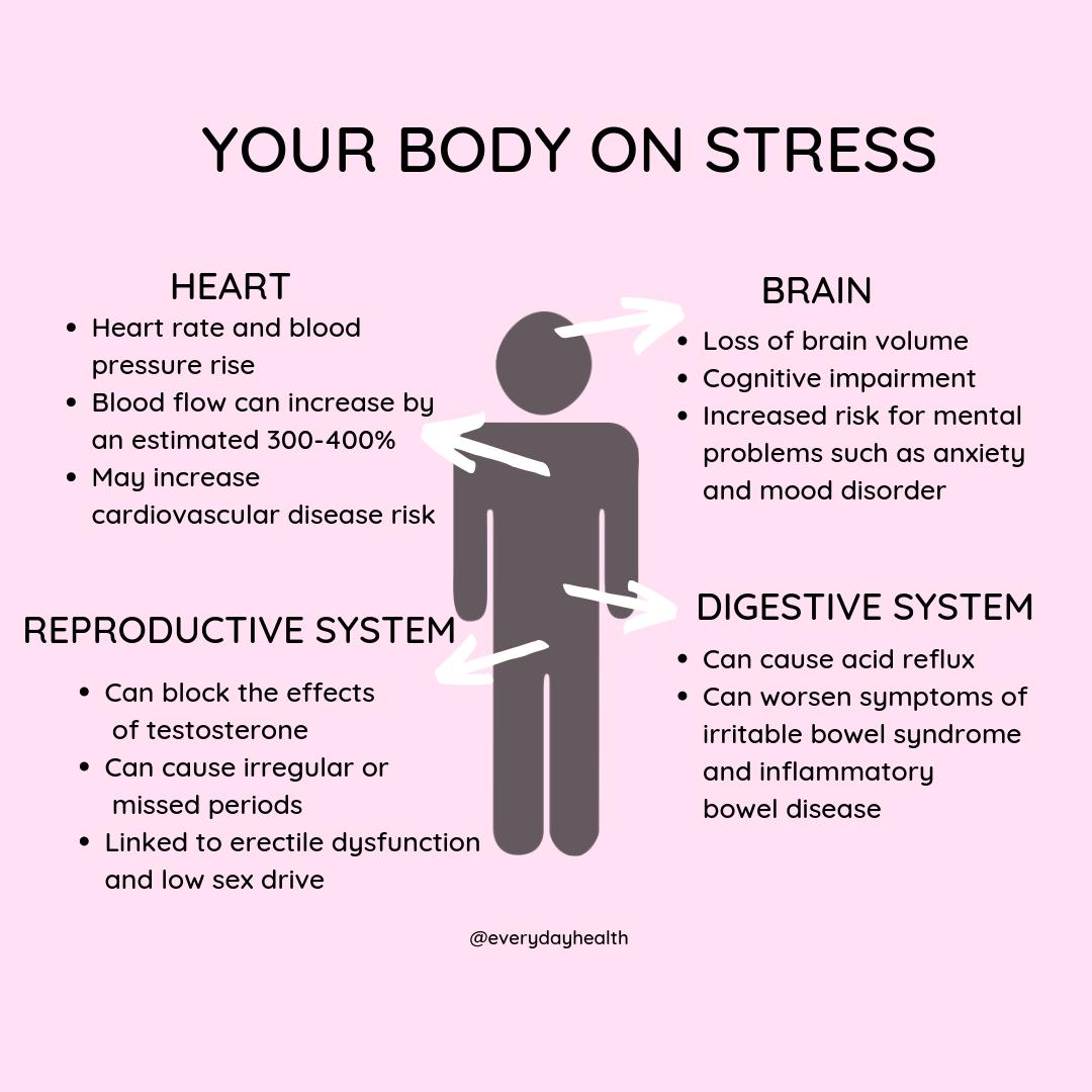 EverydayHealth's tweet photo. What does stress do to your body? #StressAwarenessDay https://t.co/QkoFFHWtEG