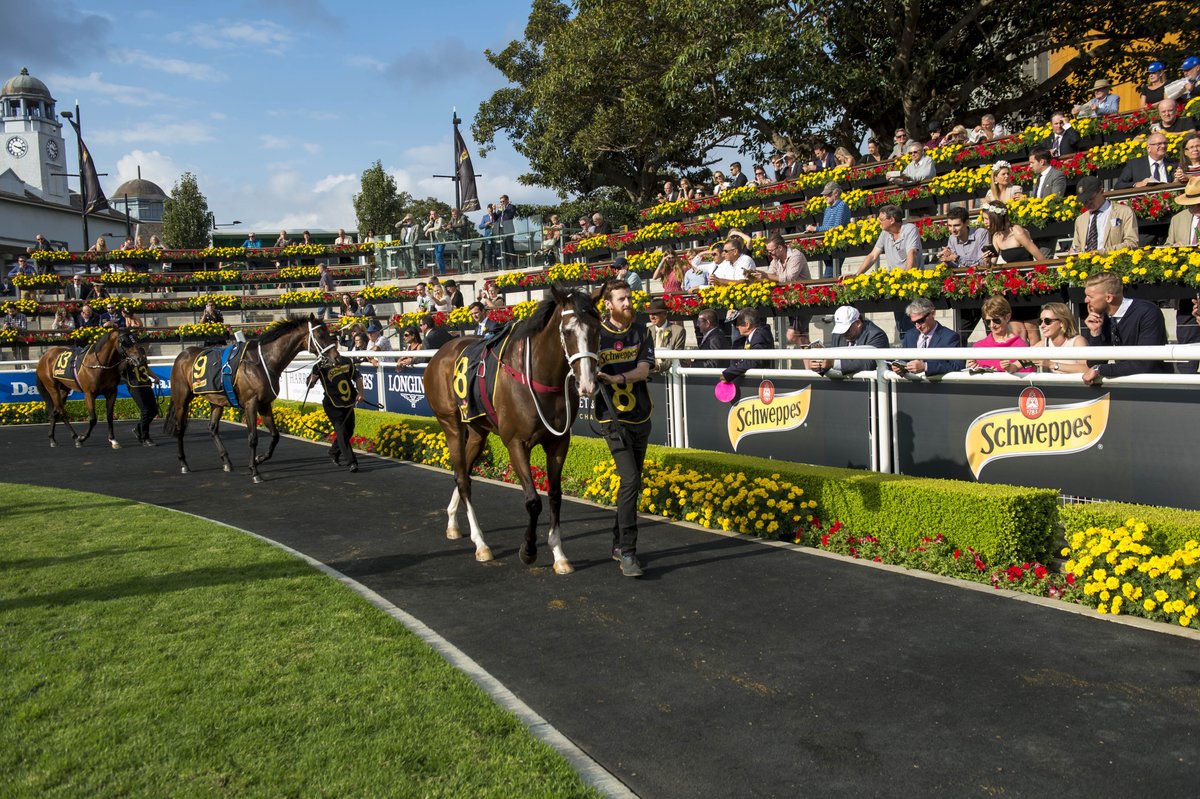 Australian Turf Club (@aus_turf_club) on Twitter photo JUST IN: Big fields for the Sydney Autumn finale, <a href="/SchweppesAus/">Schweppes Australia</a> All Aged Stakes Day <a href="/royalrandwick/">Royal Randwick</a> headlined by G1 Schweppes All Aged Stakes, with G1 Moet & Chandon Champagne Stakes. Track currenntly Good 4.
racing.australianturfclub.com.au/meeting/3359 JUST IN: Big fields for the Sydney Autumn finale, <a href="/SchweppesAus/">Schweppes Australia</a> All Aged Stakes Day <a href="/royalrandwick/">Royal Randwick</a> headlined by G1 Schweppes All Aged Stakes, with G1 Moet & Chandon Champagne Stakes. Track currenntly Good 4.
racing.australianturfclub.com.au/meeting/3359