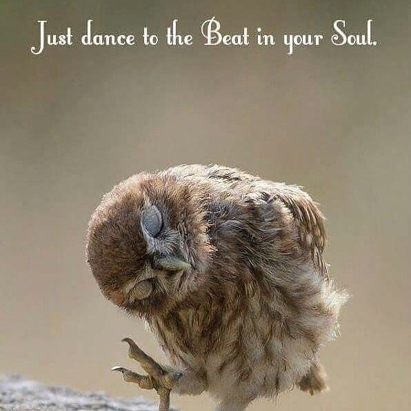 inspiringthyme's tweet photo. Be You. Be Bold. Follow your own Beat. #inspirinthyme #personalgrowth #heartsong #funbeats https://t.co/TfIcJVnkTH