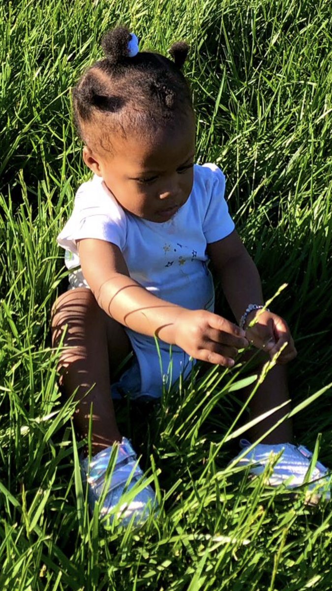 smokeydee44's tweet image. Eva laying low in the tall grass 🥰 #Grands #OneOfFive