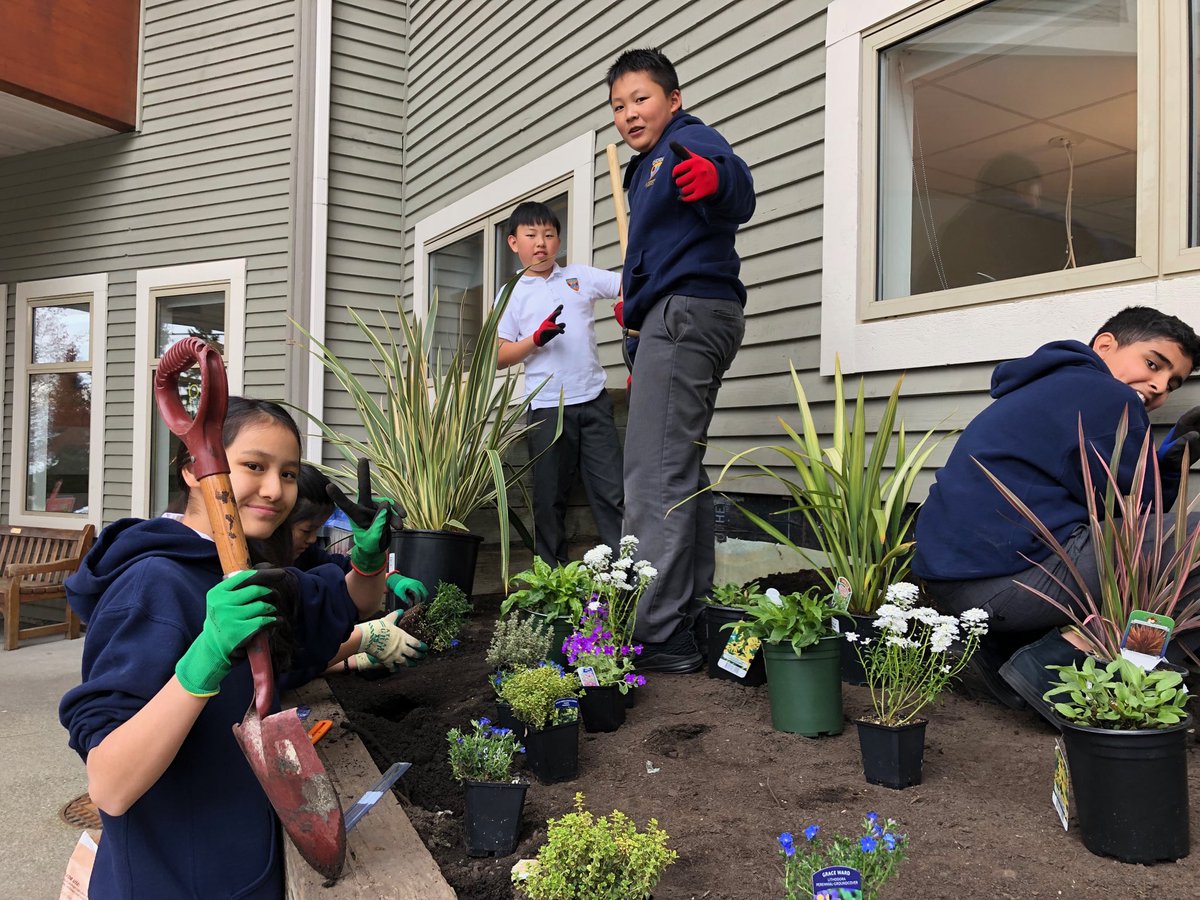 jacquijohnson's tweet photo. Our Wentworth garden beautification project continues with these dedicated grade 7’s. Today was planting day! More real life math! How many plants to buy based on the area to be planted. Height and width at maturity was key! #servicelearning #gardeningfun @CollingwoodCavs⁩ https://t.co/ZxGohOJpYM