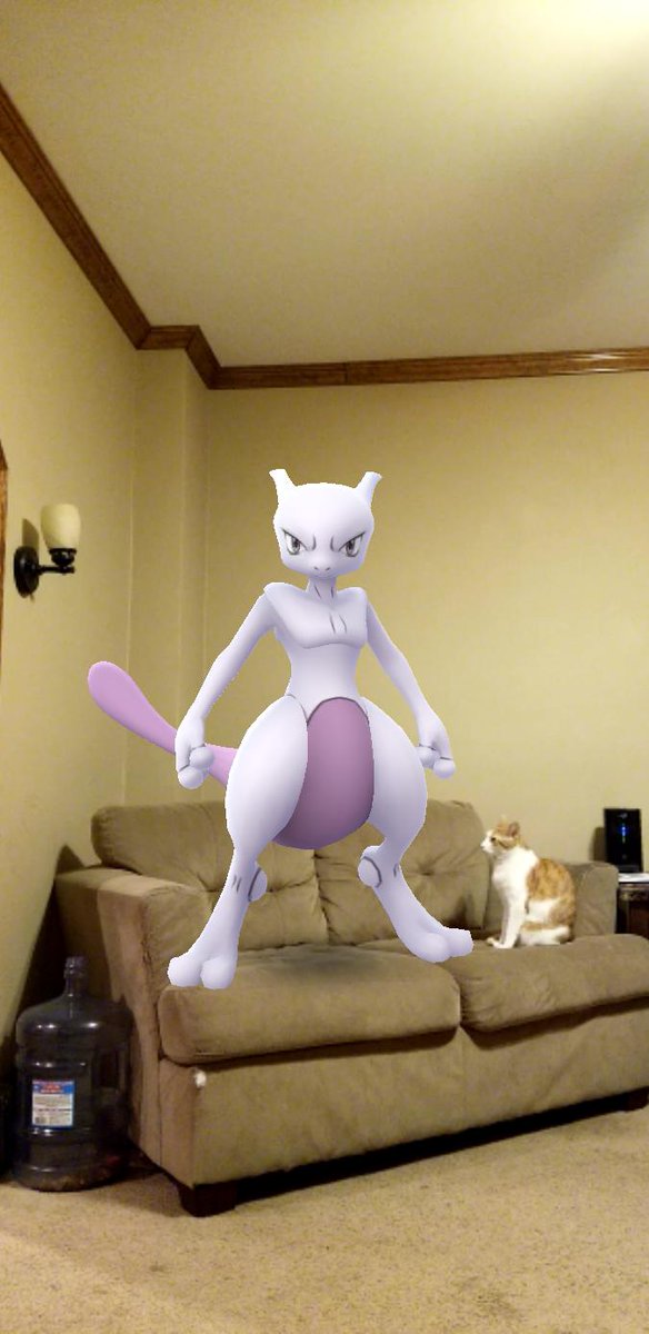 evalenko's tweet image. #gosnapshot