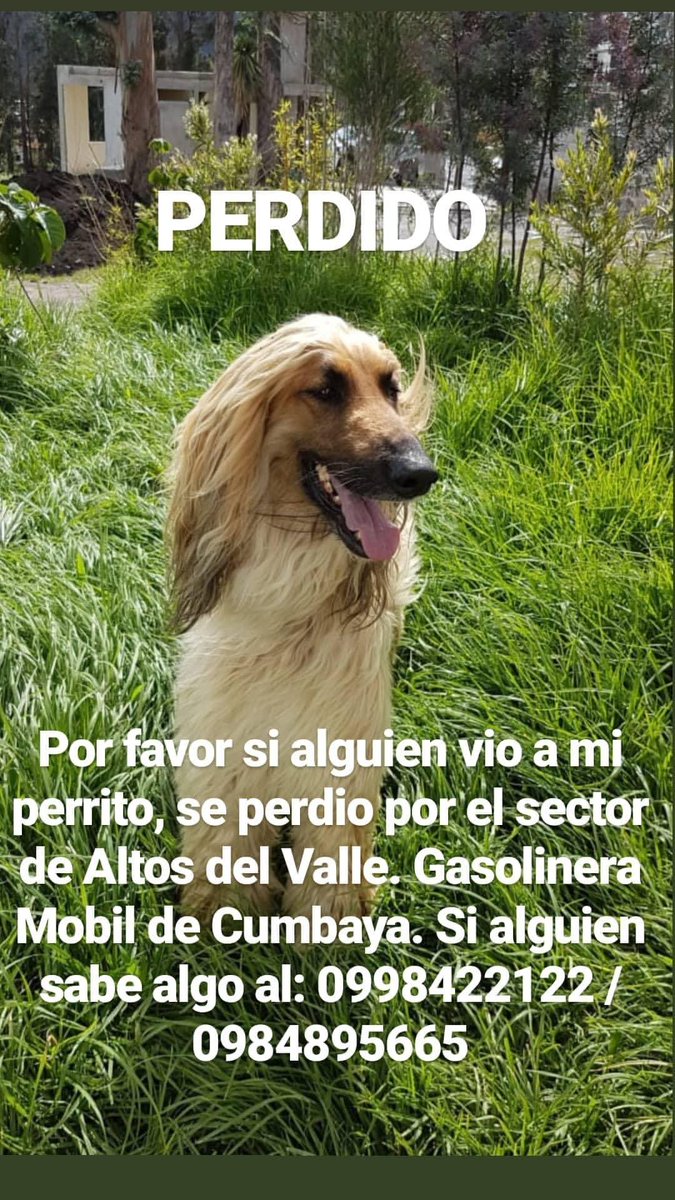 Pilas gente de Quito, es de un amigo.