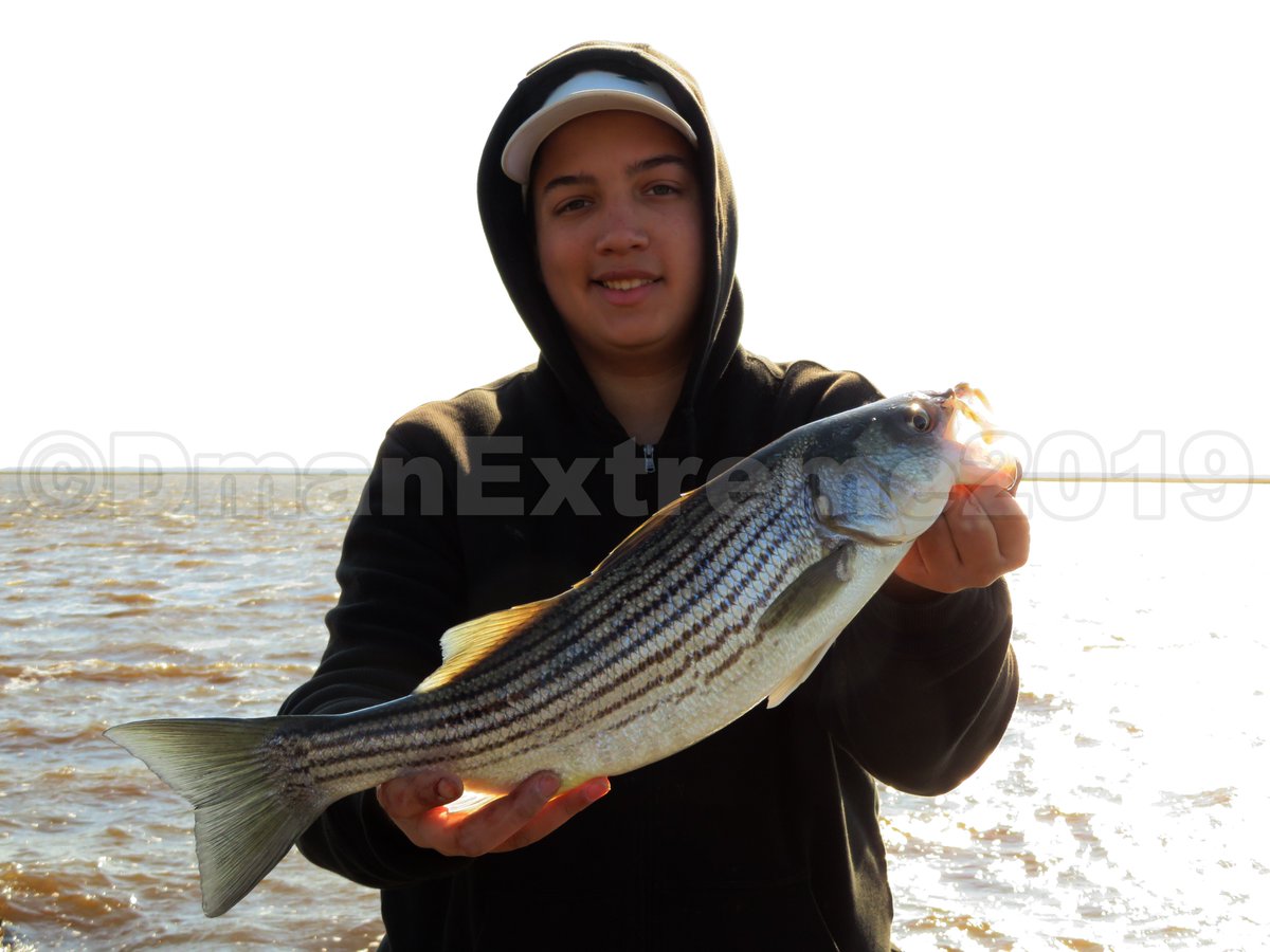 Dmanextreme's tweet photo. Had a pretty good day at Jeffers Landing today. Tons of Stripers, crazy wind, but overall a great day. https://t.co/MtzPwwU06w