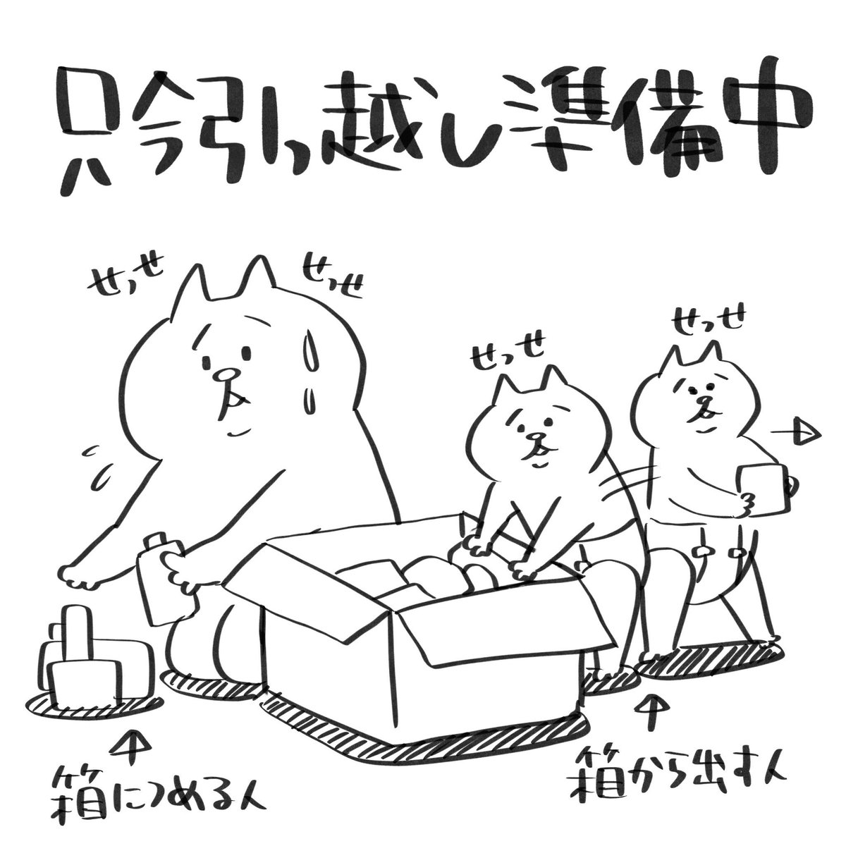 最近更新頻度が低めですが、今週末に引越し予定のため最近は毎日片付けに勤しんでおります。便利だけど極狭オンボロマンションから不便だけどちょい広オンボロマンションに引越し予定!wまた引越しについて近々漫画にまとめます!新天地でどんな日々が待ってるのか、、、ドキドキワクワク 