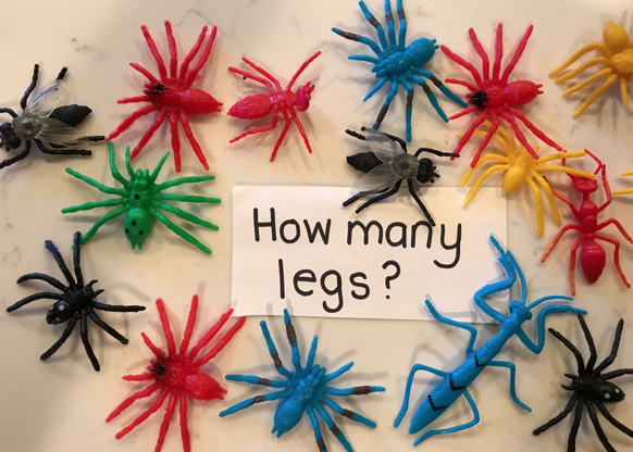 Teresa Lind tweet media