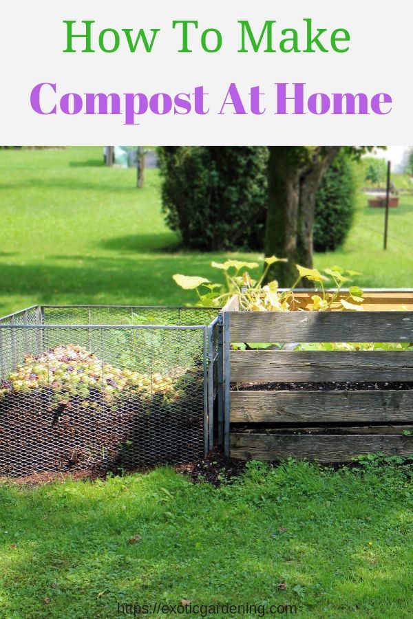 turningclockbac's tweet photo. Learn how to make compost at home using materials you already have on hand and are likely to throw into the trash and send to the local landfill. The process is easy and the end result is black gold for your garden. #compostathome #compostingforbeginners… https://t.co/ISOFEISL3s https://t.co/HSdUWuaxYS