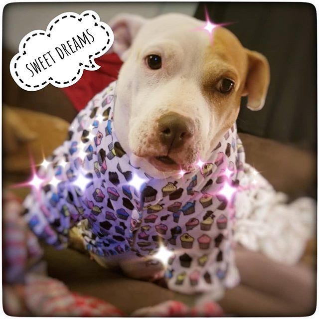 DARKSIDEnails's tweet photo. Lexi got new pjs and they're way cooler than mine. https://t.co/BJrCnrnY6d https://t.co/GU5fv3iL3f