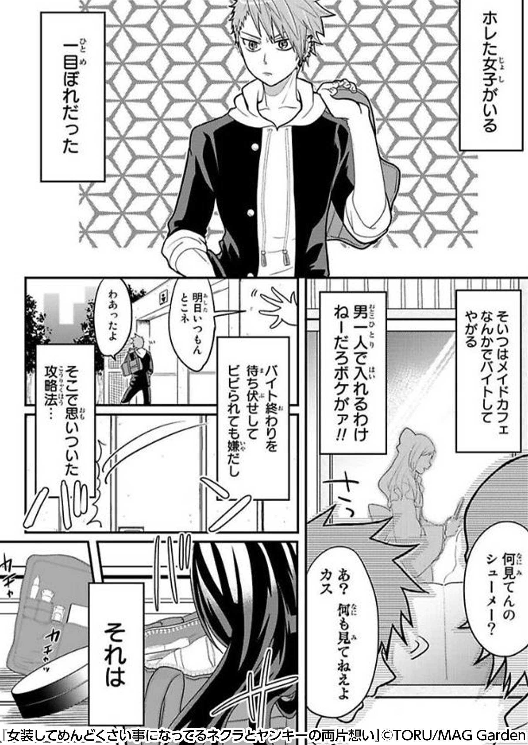 Renta プロモーション お互いの好きな人は 嫌いなヤツが女装した姿 可愛く朗らかな女の子 花 凛とした美人 めい お互いに好きだと気づいていない両片思い しかし 互いにバレてはいけない秘密が T Co Vqchaurmqa T Co